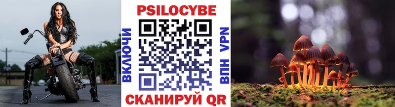 Псилоцибиновые грибы GOLDEN TEACHER  Евпатория 